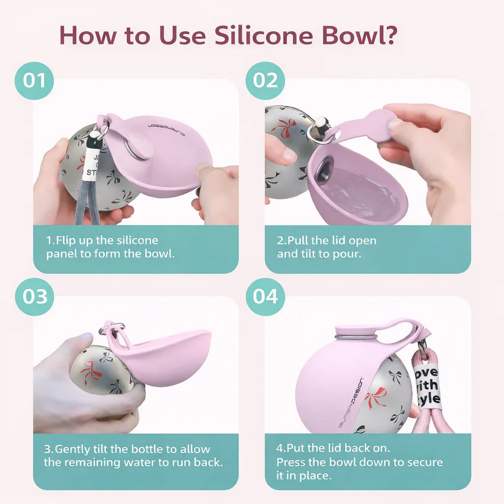 Sleek Stainless Steel Pet Bottle