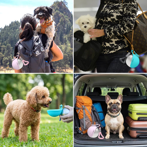 Sleek Stainless Steel Pet Bottle